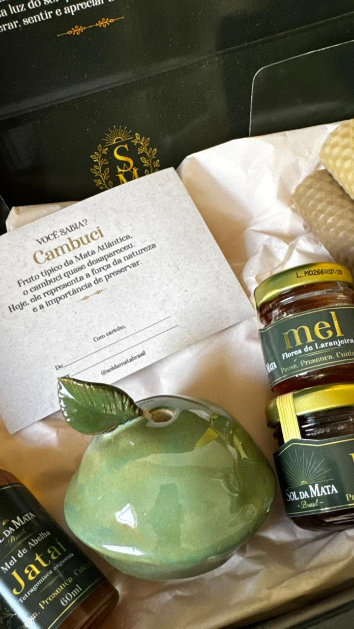 Kit Ritual do Brasil com difusor de cerâmica em formato de cambuci verde, méis e velas de cera de abelha.